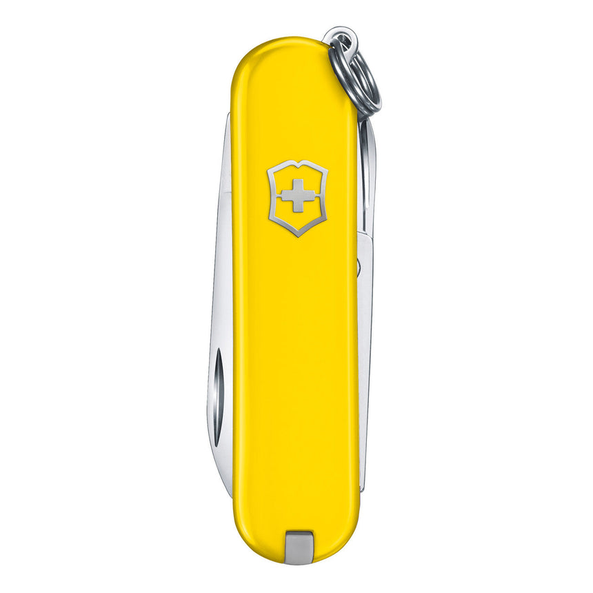 Victorinox Classic SD Swiss Knife in Sunny Side