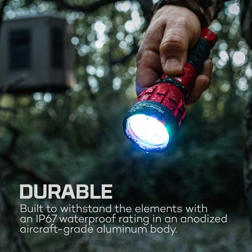 Illuminated red and blue flashlight held in a hand against a blurred outdoor background.