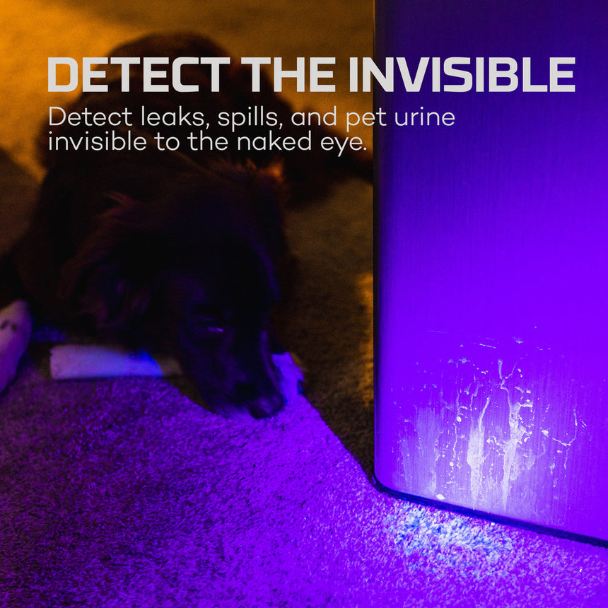 Ultraviolet light revealing hidden stains or residues on a carpet near a wall.