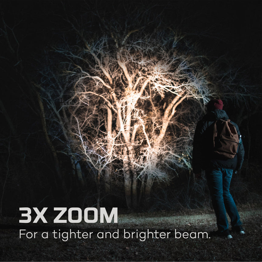 Illuminated bare tree with intricate branching patterns against a dark background.