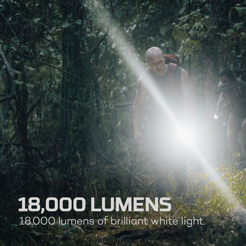 Bright flashlight beam illuminating a dense forest scene.