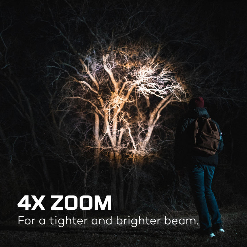 Person illuminating bare trees at night with a bright flashlight or spotlight.