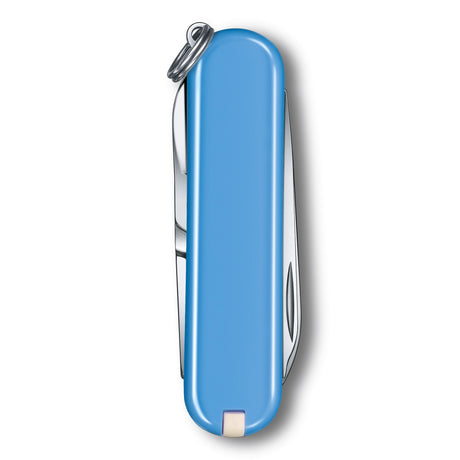 Victorinox Classic SD Pocket Knife Colorful Utility