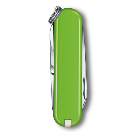 Victorinox Pocket Knife Smashed Avocado 35946 - Stylish Everyday Tool