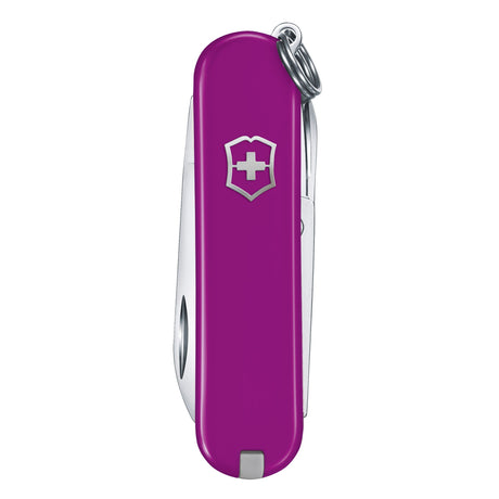 Victorinox Classic SD Tasty Grape Multi Tool Everyday Companion