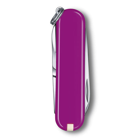 Victorinox Classic SD Tasty Grape Multi Tool Everyday Companion