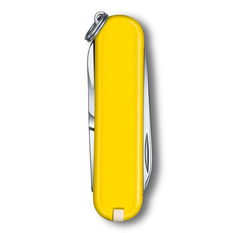Victorinox Classic SD Swiss Knife in Mango Tango Cherry Blossom