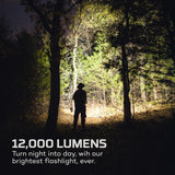 Silhouette of a person holding a powerful flashlight illuminating a dark forest.