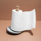 Roll of white toilet paper on a holder.