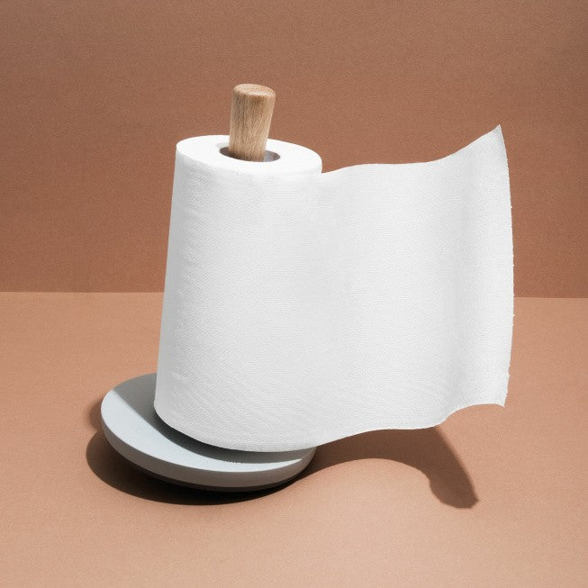 Roll of white toilet paper on a holder.